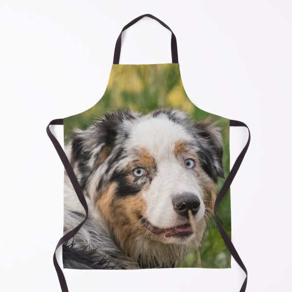 Item preview, Australian Shepherd Tri Black designed and sold by DesignVertex.