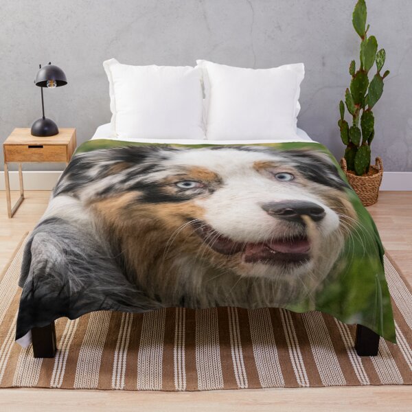 Item preview, Australian Shepherd Tri Black designed and sold by DesignVertex.