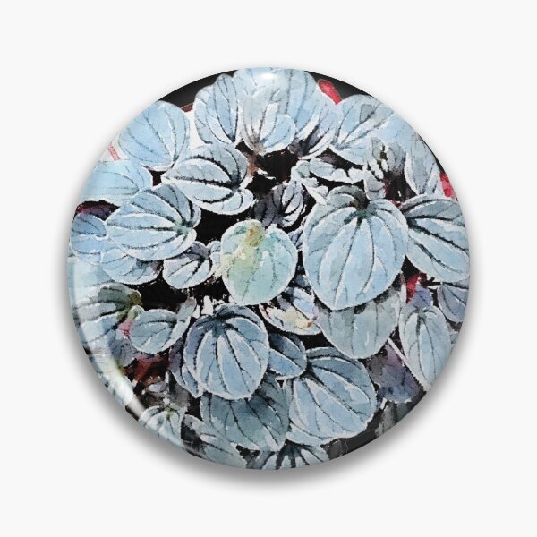 Item preview, Peperomia caperata with black background designed and sold by Floral-Art.