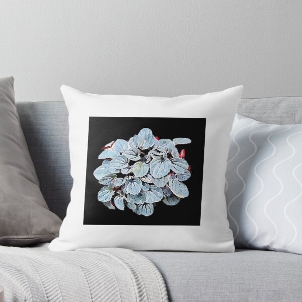 Item preview, Peperomia caperata with black background designed and sold by Floral-Art.