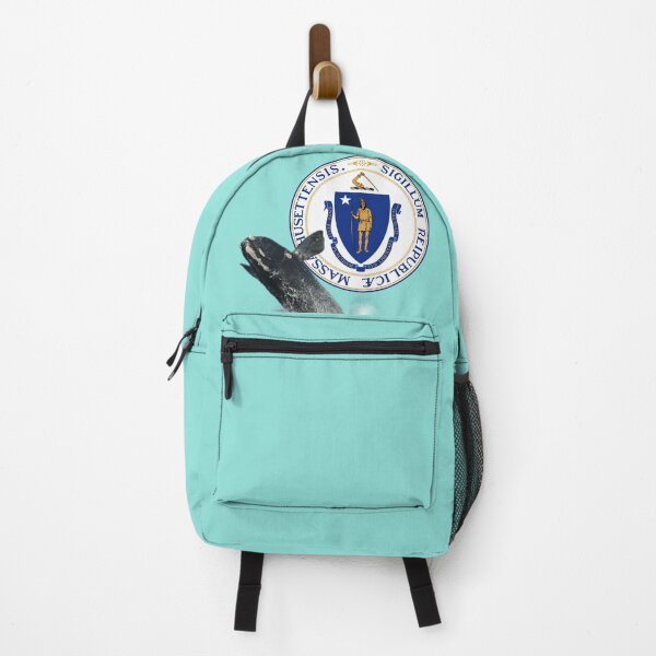 Item preview, Massachusetts designed and sold by ontological.