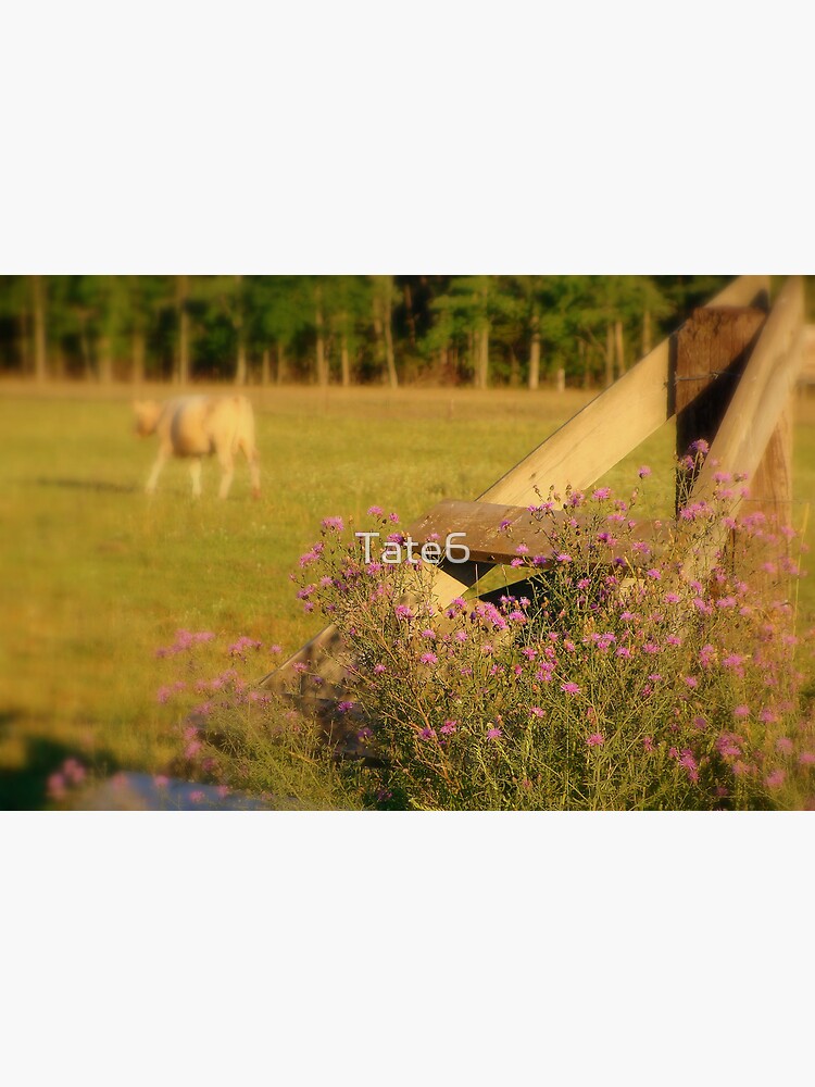 A Weed Is But An Unloved Flower by Tate6