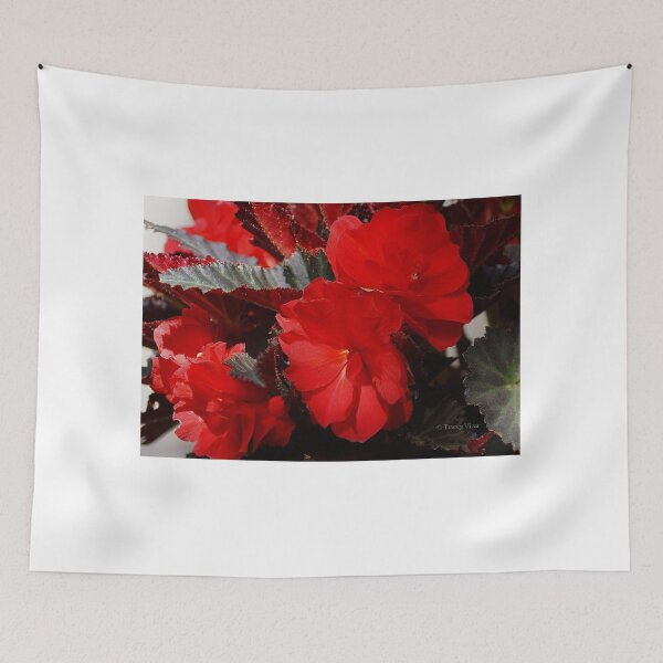 Item preview, Begonia Bouquet designed and sold by Vivar Photo.