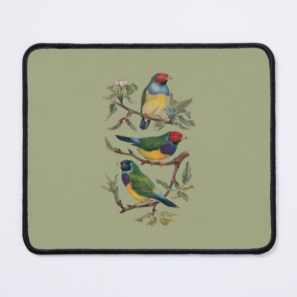 Item preview, Vintage birds designed and sold by LaurenPittaway.