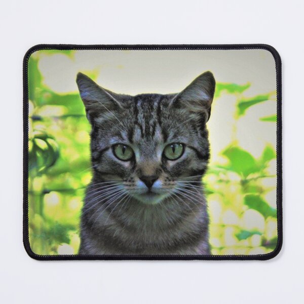 Item preview, cat portrait designed and sold by Francespoppy.