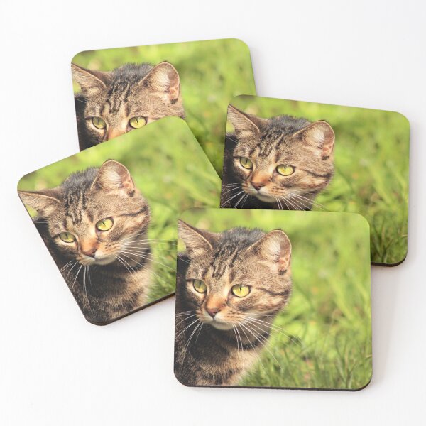 Item preview, tabby cat designed and sold by Francespoppy.