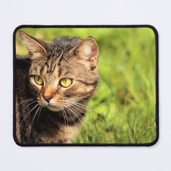 Item preview, tabby cat designed and sold by Francespoppy.