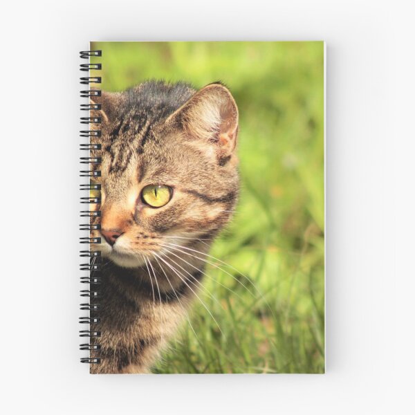 Item preview, tabby cat designed and sold by Francespoppy.