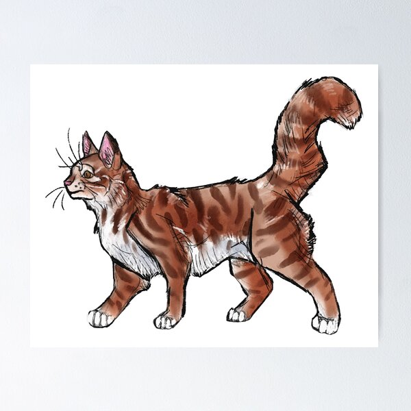 Tabby Cat 2 Poster