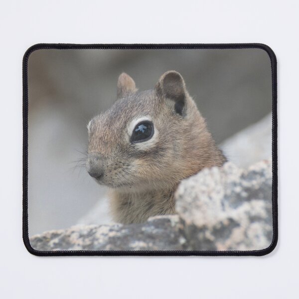 Item preview, Peekaboo! designed and sold by Photos By Michel.