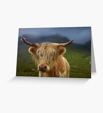 Highland Cow. Sconser. Isle of Skye. Scotland. Greeting Card