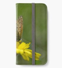 Butterfly iPhone Wallet/Case/Skin
