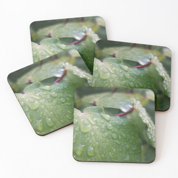 Item preview, Kawakawa dew drops in morning designed and sold by EarthandEase.