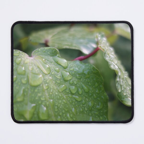 Item preview, Kawakawa dew drops in morning designed and sold by EarthandEase.