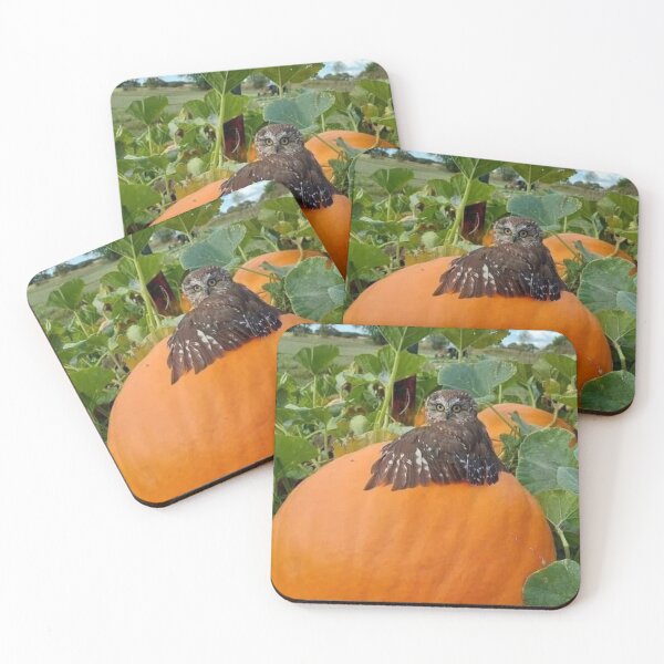 Item preview, Buo posing on giant pumpkin. designed and sold by 898music.