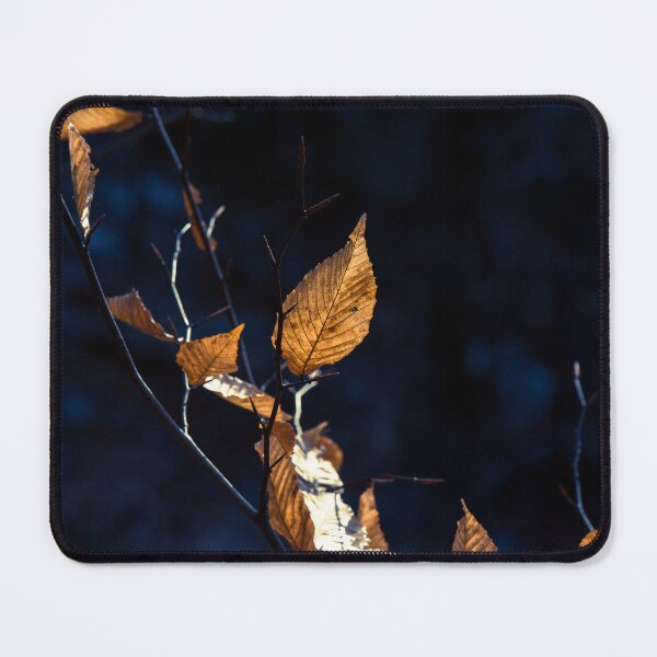 Item preview, Leaves in Winter designed and sold by HectorCantres.