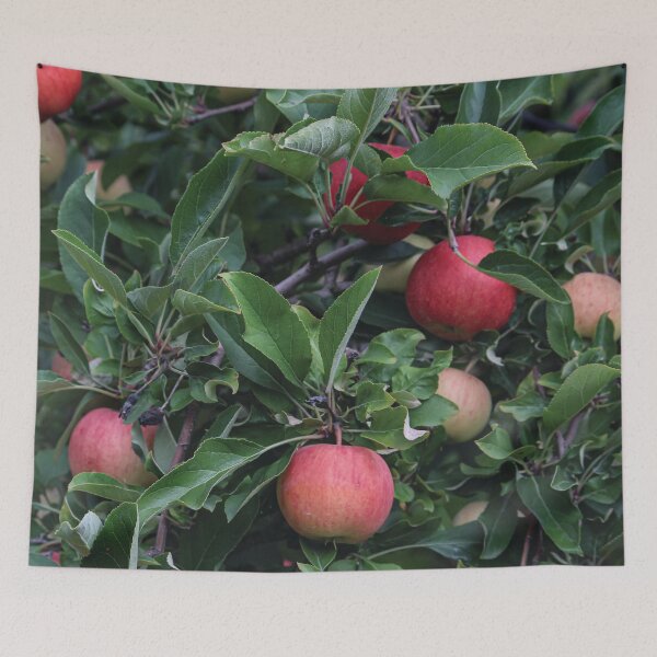 Item preview, Árbol de manzana designed and sold by OneCreativePup.