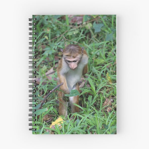 Item preview, Sri Lanka Dambulla Bonnet Monkey Monkey Hat Monkey Grass Grass designed and sold by eickys.
