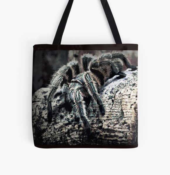 Starophi Cute Tarantula Spider Animal Lunch Box Tote Bag Cool