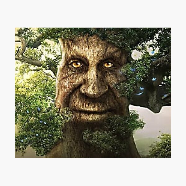 Wise Mystical Tree Wall Art for Sale