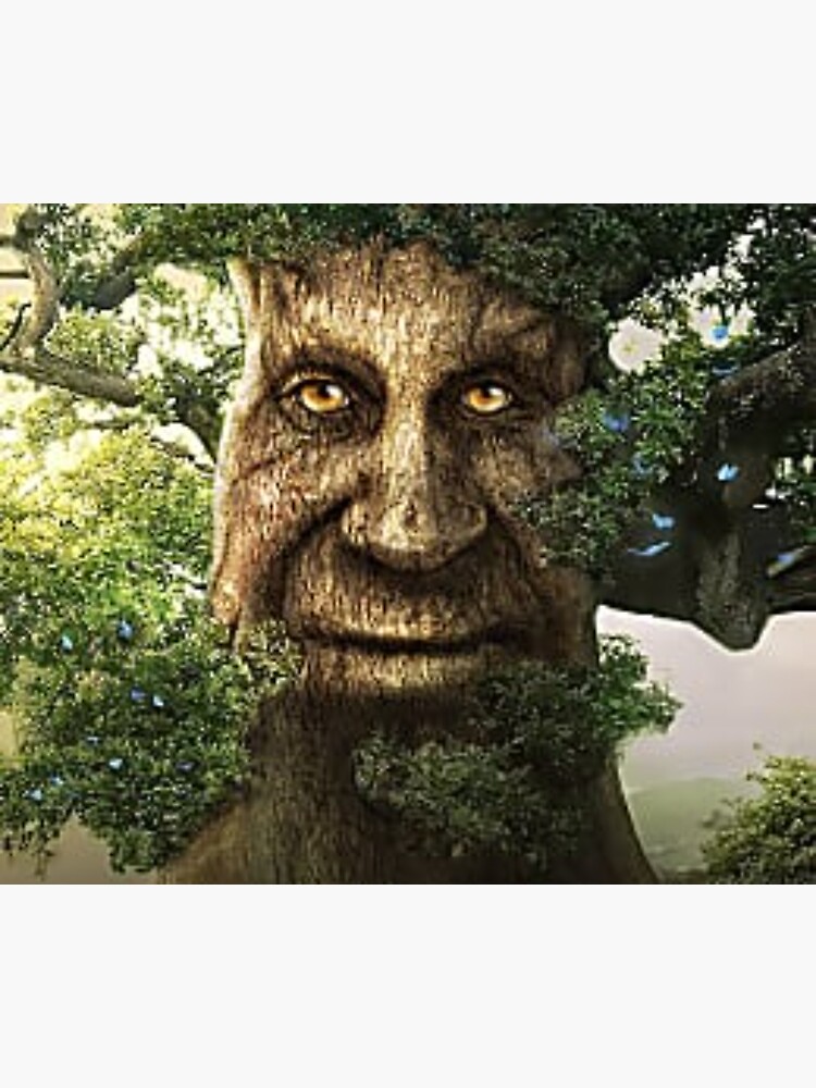 Anyone got the full box art of the wise mystical tree game meme ? :  r/wisemysticaltree