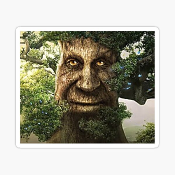 Wise Mystical Tree Face Old Mythical Oak Tree Funny Meme Tall T