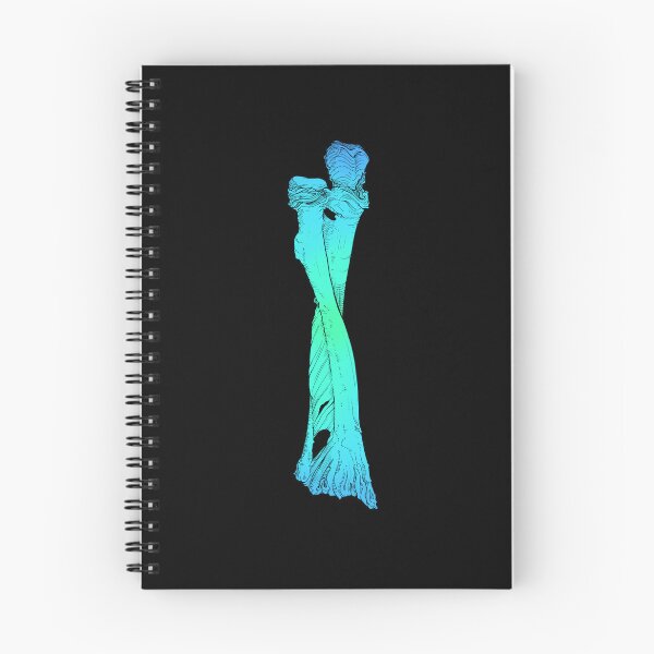 Item preview, Radius and Ulna Bones - Neon Blue designed and sold by Anachronatomy.