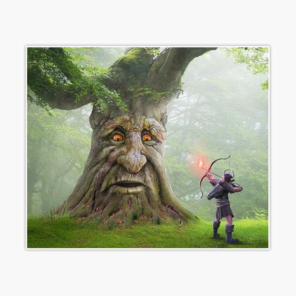 Some random oak tree  Wise Mystical Tree / If You're Over 25 and