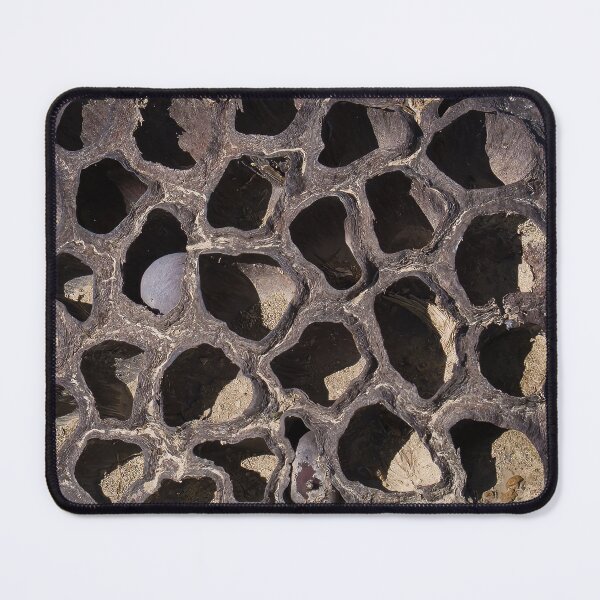 Item preview, Lotus Dried designed and sold by rmyerphoto.