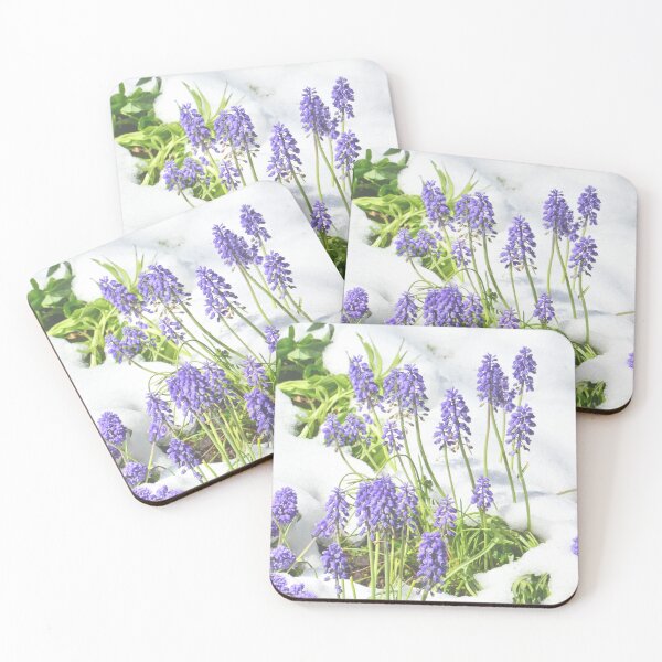 Item preview, Grape Hyacinth in Snow designed and sold by rmyerphoto.