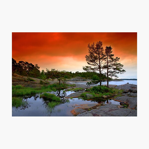 Aperçu de l'œuvre Red Sky créée et vendue par Päivi  Valkonen.