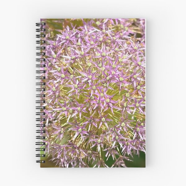 Item preview, Allium Pink designed and sold by rmyerphoto.