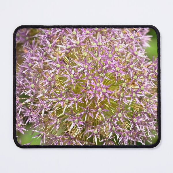 Item preview, Allium Pink designed and sold by rmyerphoto.