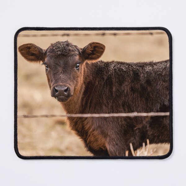 Item preview, Cow designed and sold by oliverbrit.