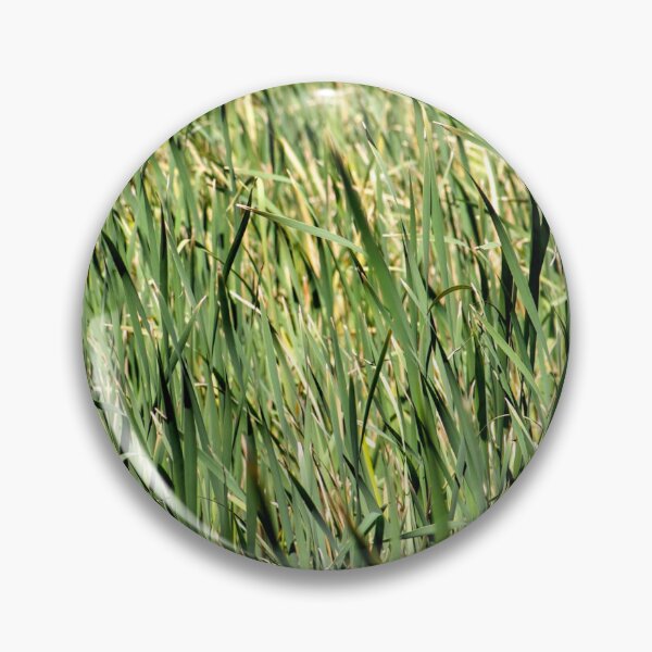 Item preview, Tall Beautiful Grass designed and sold by eidann.