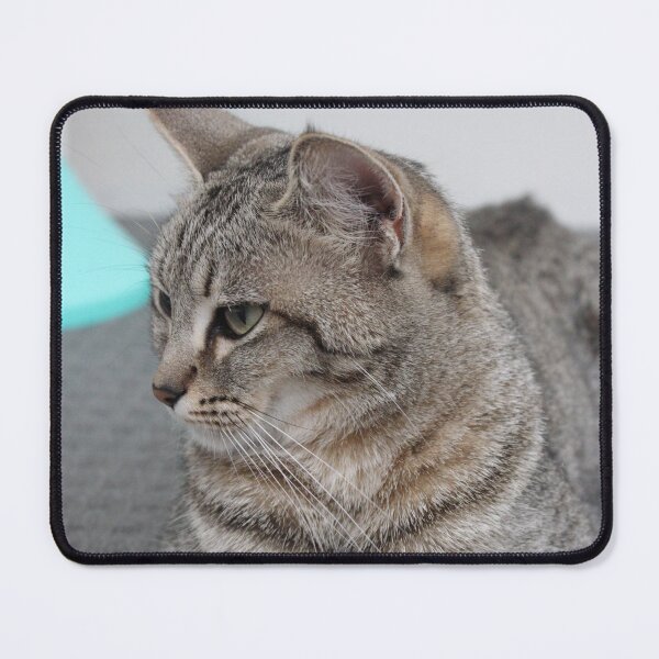 Item preview, Proud Kitty designed and sold by eidann.