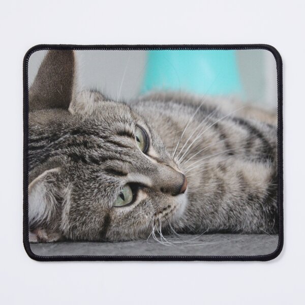 Item preview, I tire of this designed and sold by eidann.