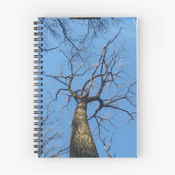 Item preview, Upward Tree designed and sold by NathanMoore92.