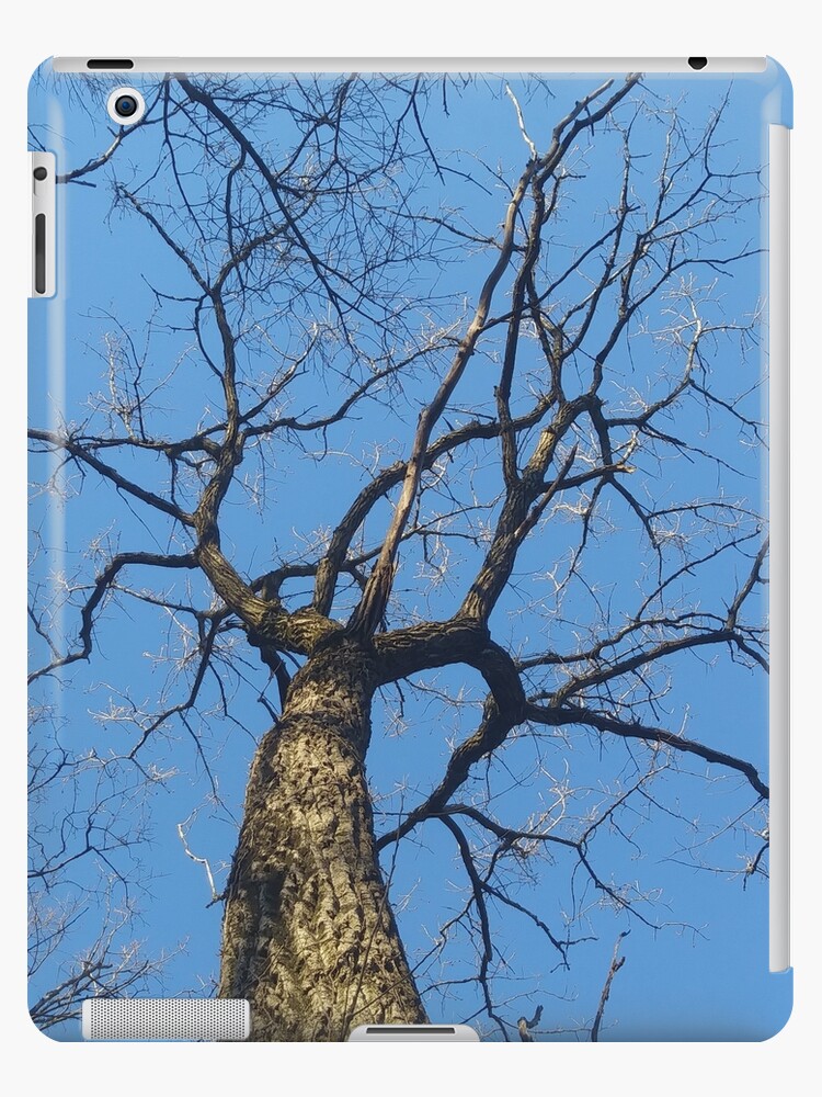 Upward Tree | iPad Case & Skin
