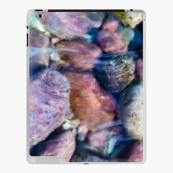 Pebbles 1 iPad Skin