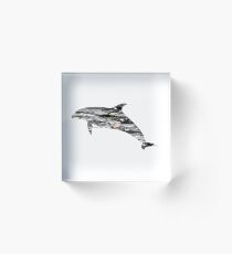 Dolphin of dolphins Acrylic Block