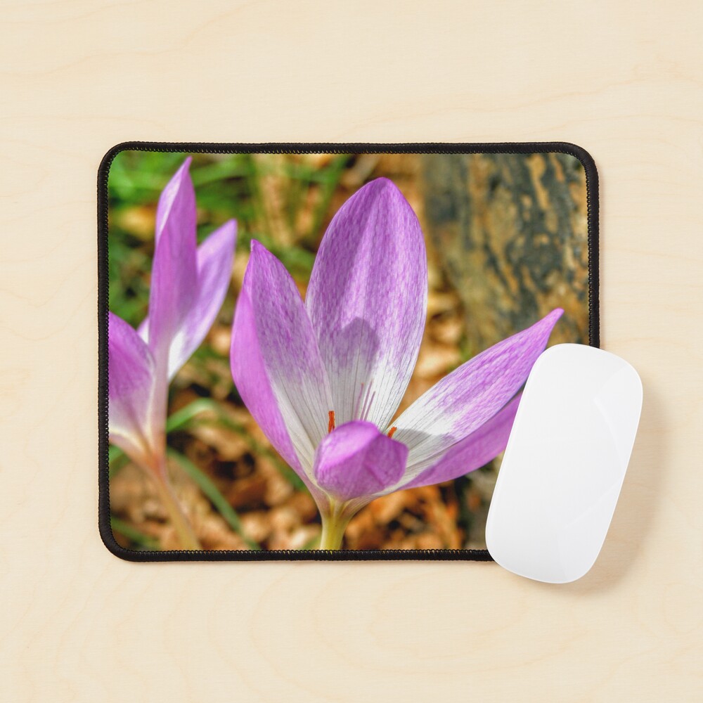 Item preview, Mouse Pad designed and sold by eidann.