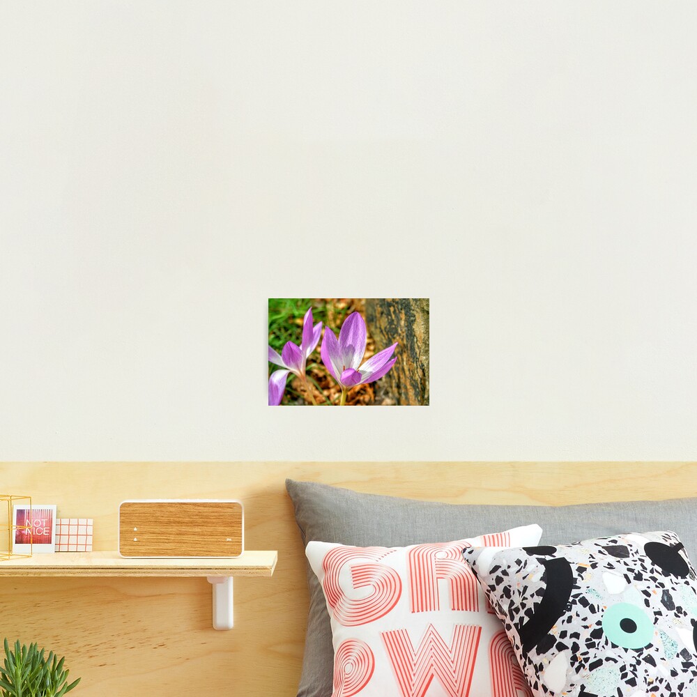 Item preview, Photographic Print designed and sold by eidann.