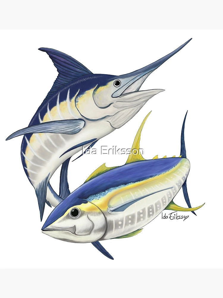 Blue marlin and yellowfin tuna  Art Print for Sale by Ida Eriksson