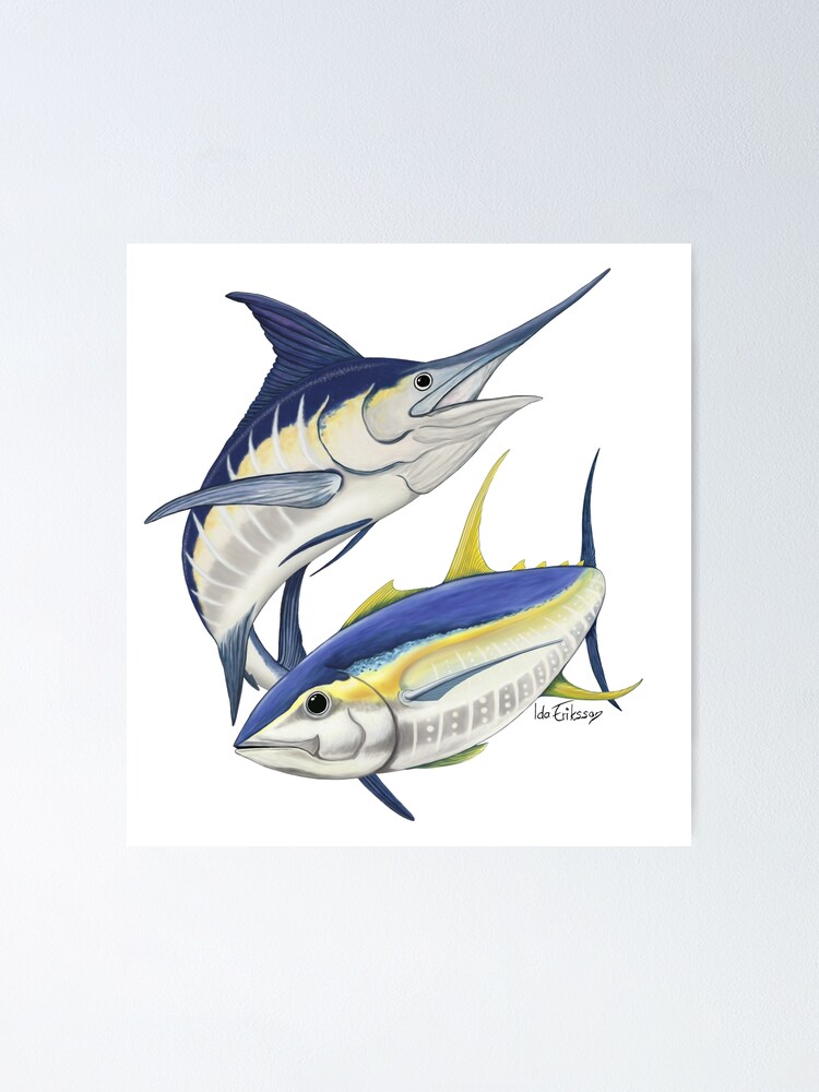 Blue marlin and yellowfin tuna  Poster for Sale by Ida Eriksson