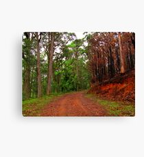 Healesville - Mt Riddell Canvas Print