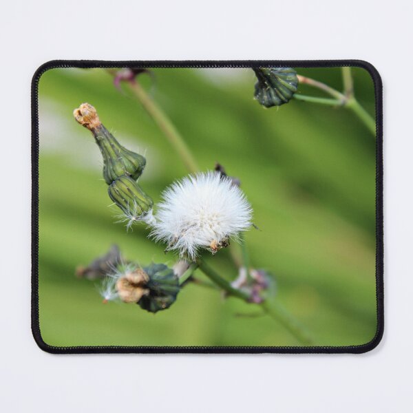 Item preview, Even Weeds Need Love designed and sold by eidann.