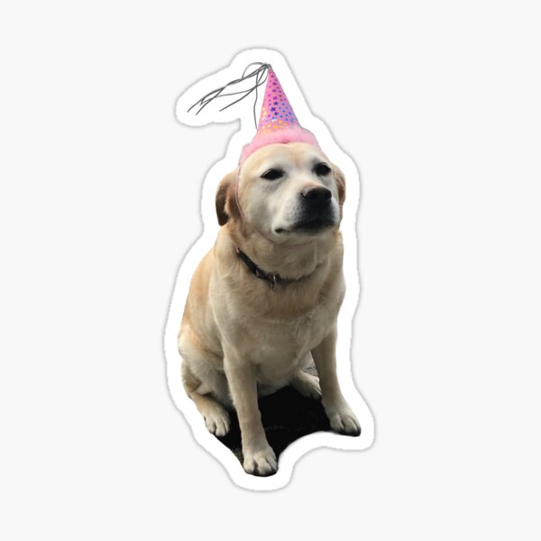 Item preview, Party dog! designed and sold by vividlyinspired.