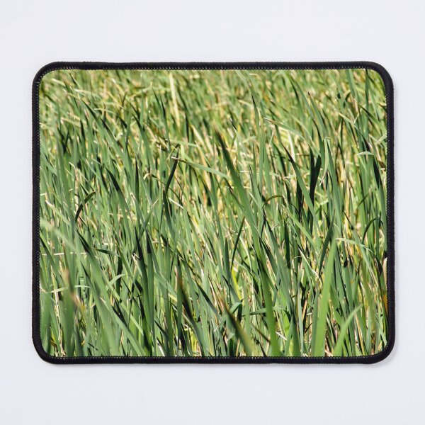 Item preview, Tall Beautiful Grass designed and sold by eidann.