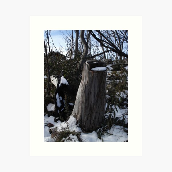 Item preview, Fresh Snow designed and sold by Chris Kean.